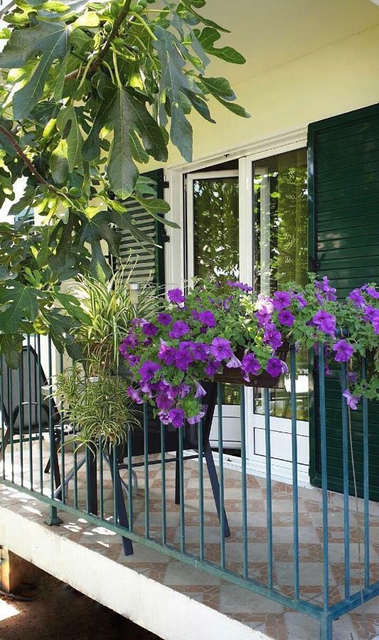 Lav Apartments Herceg Novi Buitenkant foto
